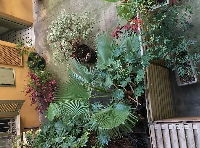 Apartment Heart Of Harboor Cosy And